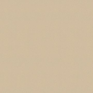 307258_3