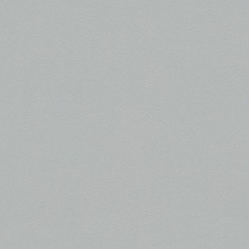 309136_4