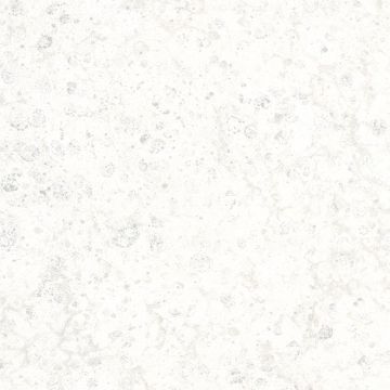 31025 Platinum Marburg