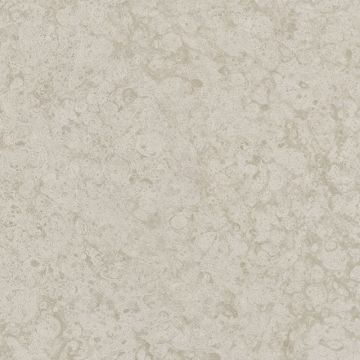31031 Platinum Marburg