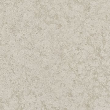 31031 Platinum Marburg