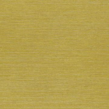 Tapete Gelb, Avalon ARTE Vliestapete (KG-171218)