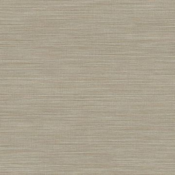 Tapete Braun, Avalon ARTE Vliestapete (KG-171219)