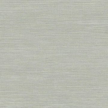 Tapete Grau, SIlber, Avalon ARTE Vliestapete (KG-171224)