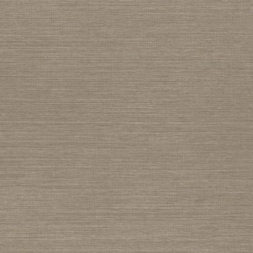 Tapete Braun, Avalon ARTE Vliestapete (KG-171225)