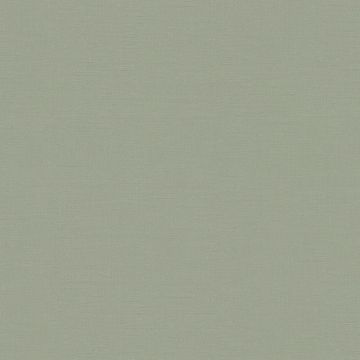 Tapete Grün SCHÖNER WOHNEN Vliestapete (1027648)