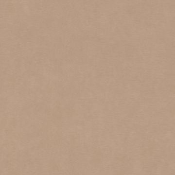 330045_1