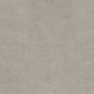 333262_5