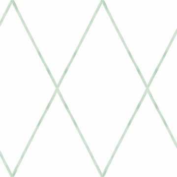 Tapete Grün, Weiß Rasch-Textil Papiertapete (1035046)