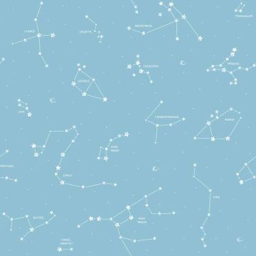Tapete Blau Rasch-Textil Papiertapete (1035059)