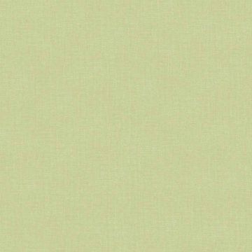 Tapete Grün Rasch-Textil Papiertapete (1035068)
