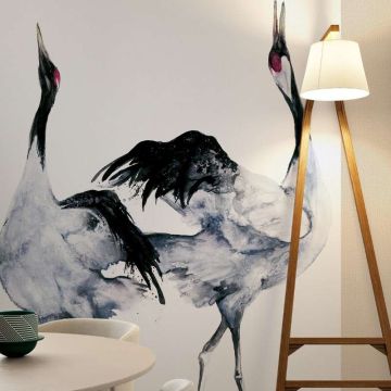 34595_001_imageroom