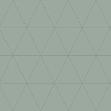 347714_1_1