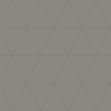 347716_1_1