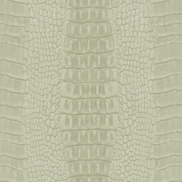 Tapete Beige, Creme Rasch-Textil Vliestapete (1039424)