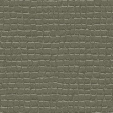 Tapete Braun Rasch-Textil Vliestapete (1039431)