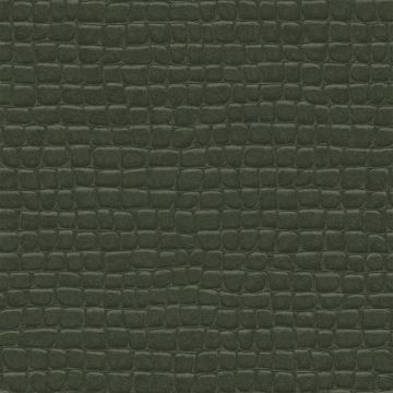 Tapete Grün Rasch-Textil Vliestapete (1039433)