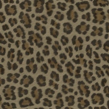 Tapete Beige, Creme, Braun Rasch-Textil Vliestapete (1039450)