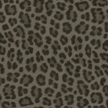 Tapete Grau, Silber, Schwarz, Anthrazit Rasch-Textil Vliestapete (1039451)