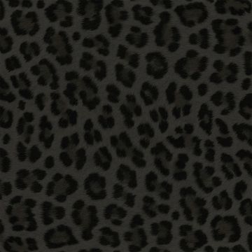 Tapete Braun Rasch-Textil Vliestapete (1039452)