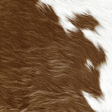 Digitaldruck-Tapete Braun, Weiß Rasch-Textil (1039459)