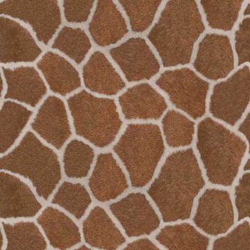 Digitaldruck-Tapete Beige, Creme, Braun Rasch-Textil (1039461)