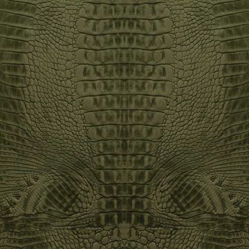 Digitaldruck-Tapete Grün Rasch-Textil (1039463)
