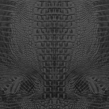 Digitaldruck-Tapete Schwarz, Anthrazit Rasch-Textil (1039464)