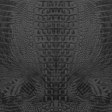 Digitaldruck-Tapete Schwarz, Anthrazit Rasch-Textil (1039464)