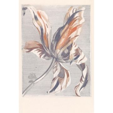 358116 Masterpiece Eijffinger Vliestapete