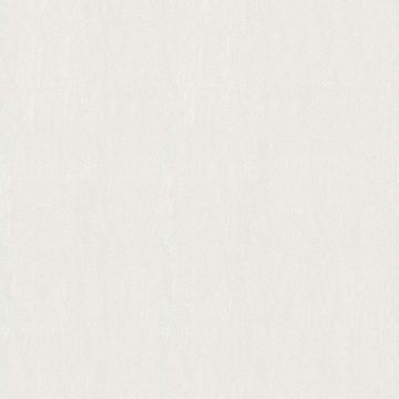Tapete Beige, Creme, Weiß AS-Creation Papiertapete (1028087)