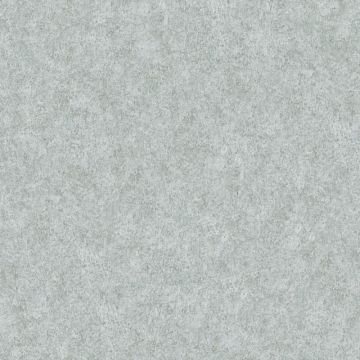 362078_3