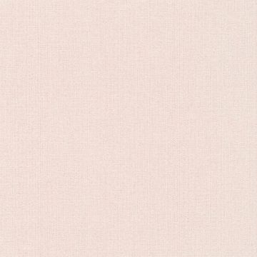 363785_2