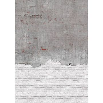 Digitaldruck-Tapete Grau, Silber Rasch (1043131)