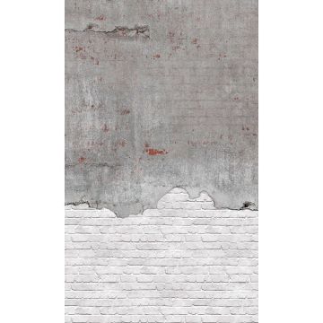 Digitaldruck-Tapete Grau, Silber Rasch (1043132)