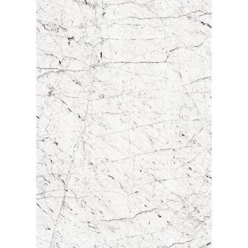 Digitaldruck-Tapete Grau, Silber, Weiß Rasch (1043137)