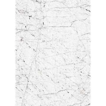 364330_4b_2120x3000_lowres_3