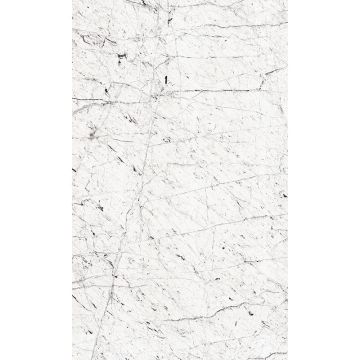 Digitaldruck-Tapete Grau, Silber, Weiß Rasch (1043138)