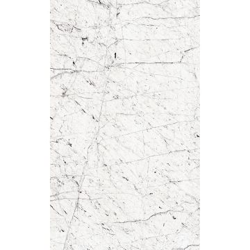 364347_3b_1590x2650_lowres_4