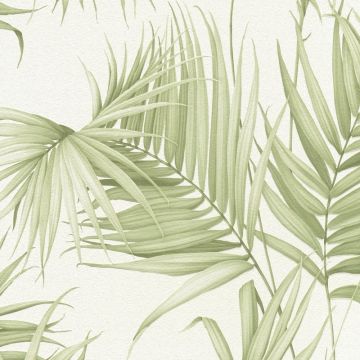 365051 Dream Again by Michalsky Living Livingwalls