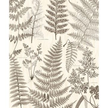 366105 Geonature Eijffinger Vliestapete