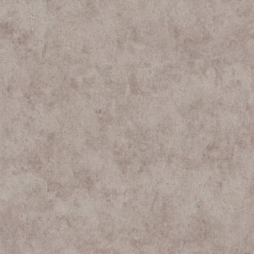 369243_7