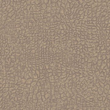 369701_6_1