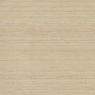 375141 Sundari Eijffinger