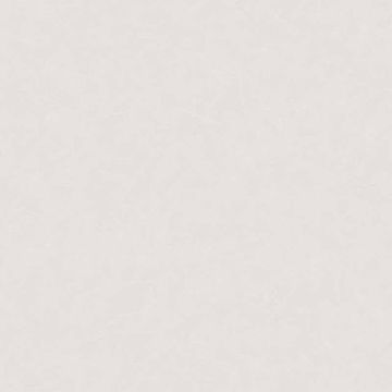 376930_1_1