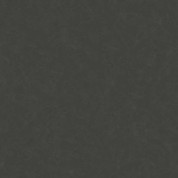 376985_1_1