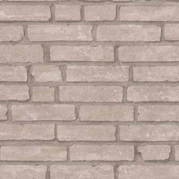 Tapete Beige, Creme, Braun AS-Creation Vliestapete (1033800)