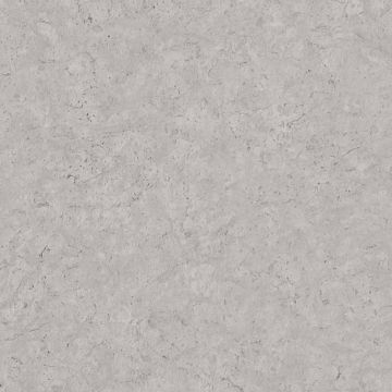 Tapete Grau, Silber livingwalls Vliestapete (1034654)