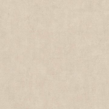 380245_1