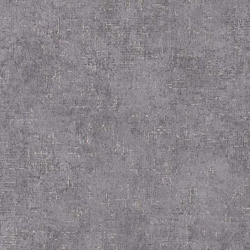 380891_1